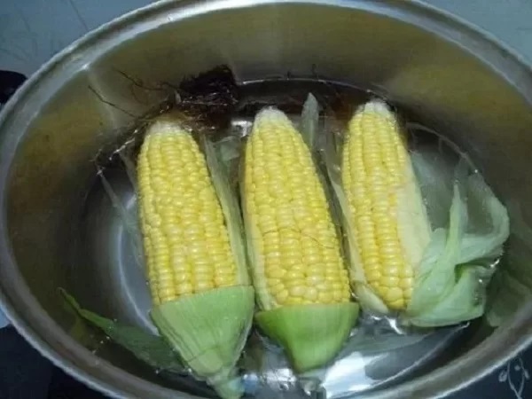 cách lấy lại zalo