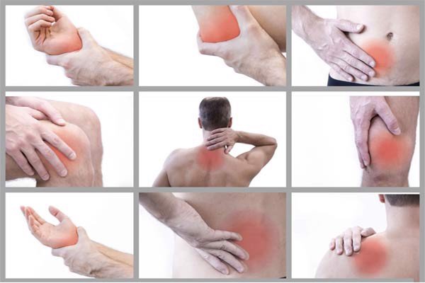 MSM là gì? Vì sao người tập gym cần uống MSM để bảo vệ xương khớp?