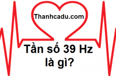 parody là gì