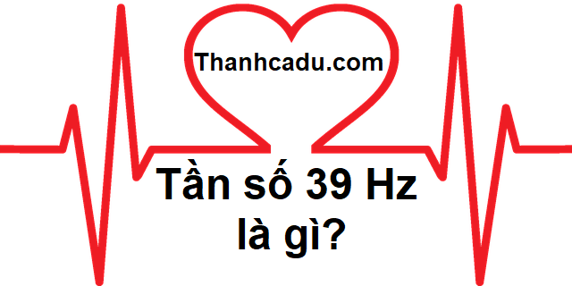 parody là gì