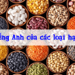 dưa hấu tiếng anh là gì