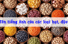 dưa hấu tiếng anh là gì