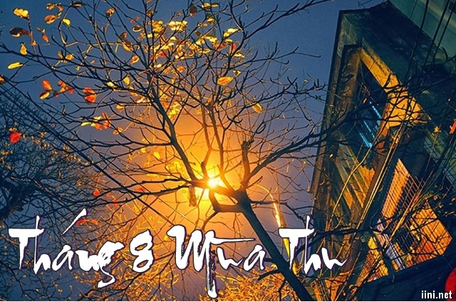 1001 bài thơ Tháng 8 hay, tình thơ tháng Tám mùa Thu mới nhất