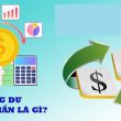 thặng dư là gì