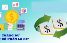 thặng dư là gì
