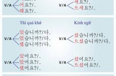 nguyên âm trong tiếng anh
