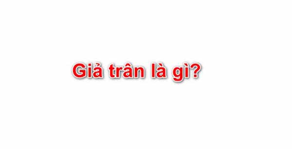 Giả trân là gì? Nguồn gốc ý nghĩa của từ giả trân - Chọn giá đúng