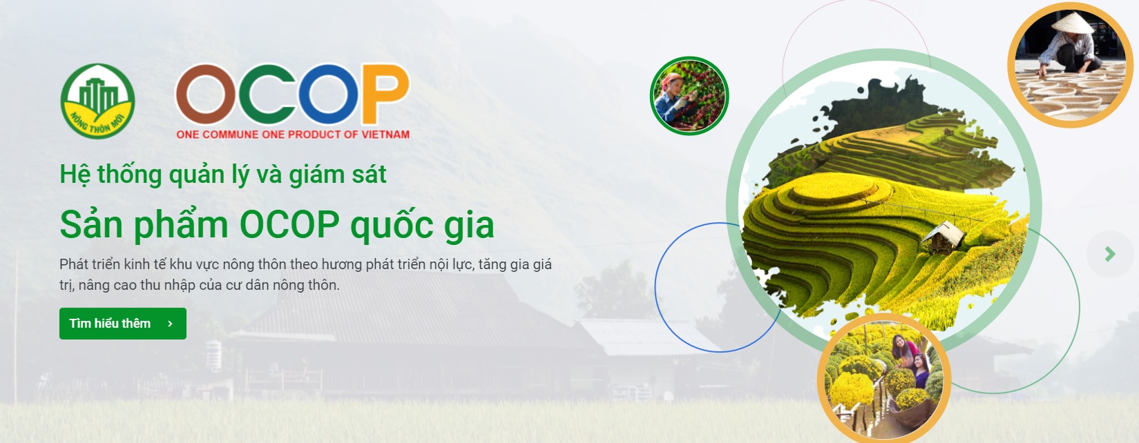 Tiêu chuẩn OCOP là gì? Lợi ích khi tham gia chương trình OCOP