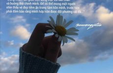 stt bán hàng