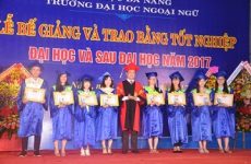 trường bình là ai