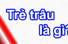 uk có nghĩa là gì