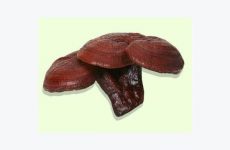 thuật đọc tâm lý