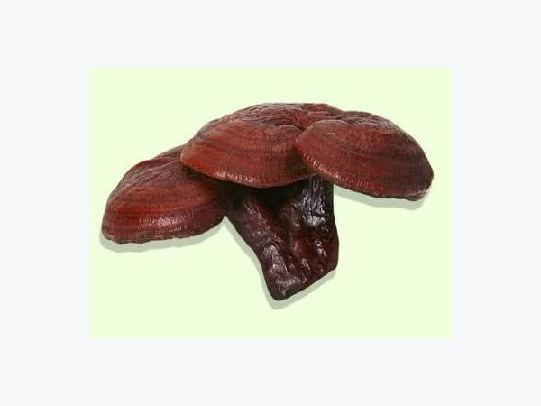 thuật đọc tâm lý