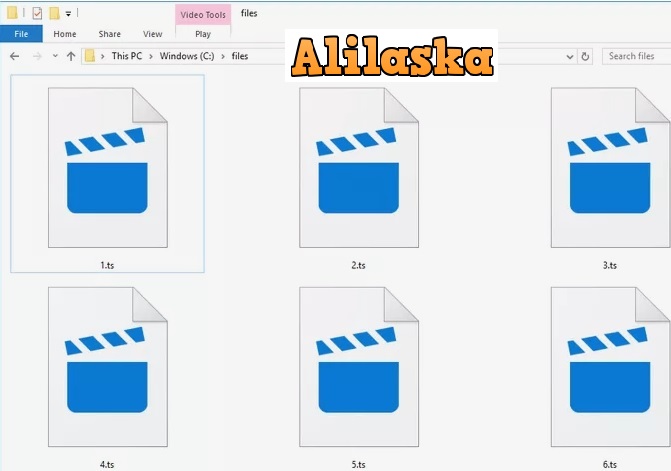 TS File là gì và nó hoạt động như thế nào ?