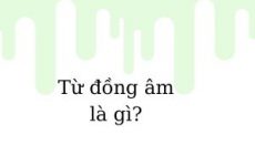 từ đồng âm là gì