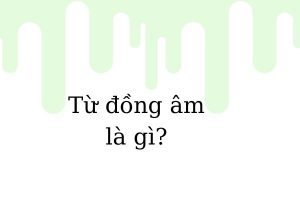 từ đồng âm là gì