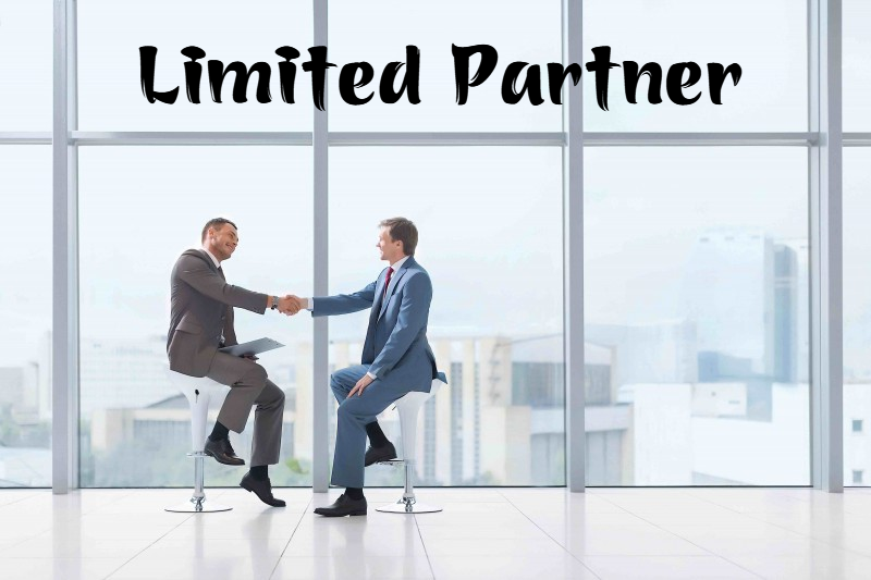 partner nghĩa là gì
