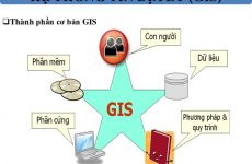 chiếu mới là gì