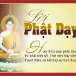 lời phật dạy về cuộc sống an nhiên