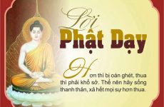 lời phật dạy về cuộc sống an nhiên