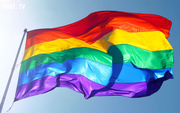 Ngày thế giới chống phân biệt đối xử, kỳ thị với cộng đồng LGBT