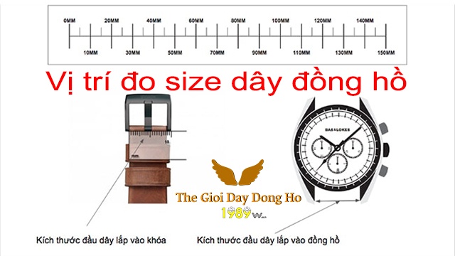 Hướng Dẫn 3 Cách Đo Size Dây Đồng Hồ dễ thực hiện nhất 1 Hướng Dẫn 3 Cách Đo Size Dây Đồng Hồ Dễ Thực Hiện Nhất