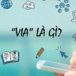info là gì