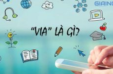 info là gì