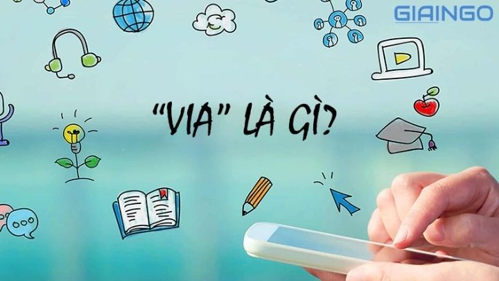 info là gì