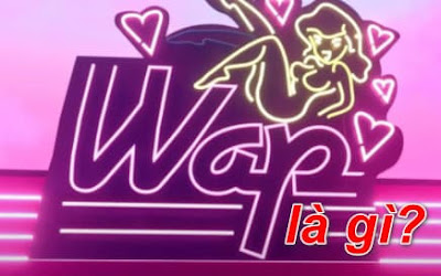 Wap là gì? Ý nghĩa của wap trên TikTok bạn chưa biết - wowhay