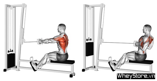 Workout là gì? Tầm quan trọng của workout trong thể hình