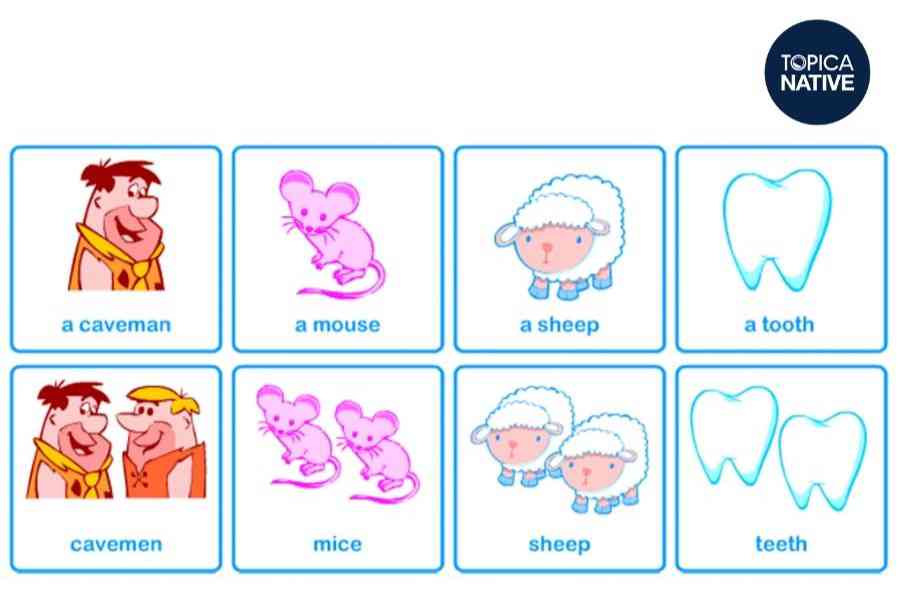 áo sơ mi tay bồng 4