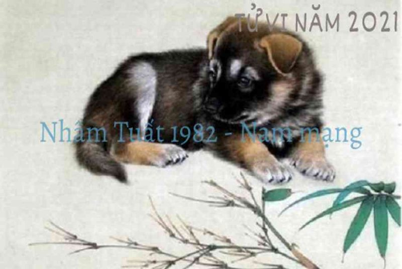 Tử Vi Tuổi Tuất 1982 Năm 2021: Tất Tần Tật Về Vận Mệnh, Công Danh, Tình Cảm Và Sức Khỏe