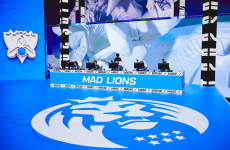 MAD Lions